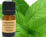 Peppermint Essential Oil 15ml - DezyMart™